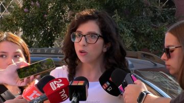 29032602 DECLARACIONES DIPUTADA FA GAEL YEOMANS 01