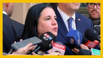 30032617 DECLARACIONES MINISTRA STEINERT DEST
