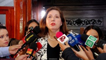 30032618 DECLARACIONES SENADORA PAULINA VODANOVIC 01 (1)