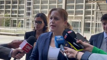 30032622 DECLARACIONES FISCAL DE LOS LAGOS 01