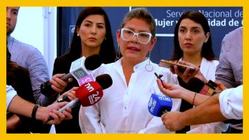 31032601 APOYO PRISCILLA CARRASCO 13