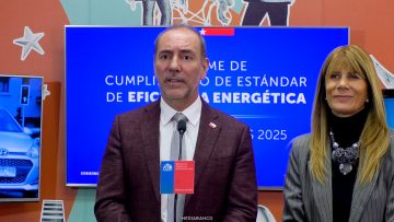 31032611 ESTÁNDAR DE EFICIENCIA ENERGÉTICA PARA VEHÍCULOS LIVIANOS 01