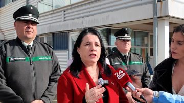 310326PARENAS01 DECLARACIONES MINISTRA DE SEGURIDAD 01