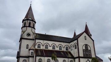 WhatsApp Image 2026-03-21 at 3.45.39 PM