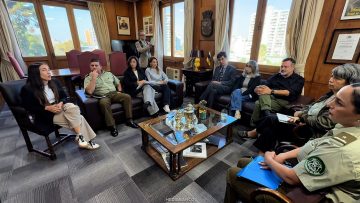 WhatsApp Image 2026-03-31 at 11.38.58