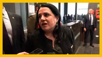 02042606 DECLARACIONES MINISTRA STEINERT DES