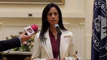 02042611 DECLARACIONES PRESIDENTA DEL SENADO 01