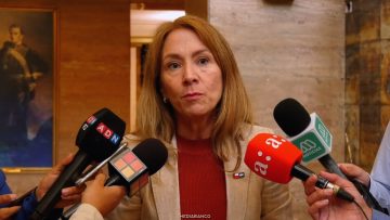 02042613 DECLARACIONES SUSANA JIMENEZ 06
