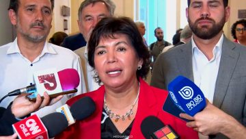 06042622 DECLARACIONES YASNA PROVOSTE 01