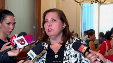 06042627 DECLARACIONES SENADORA PAULINA VODANOVIC 01 (1)