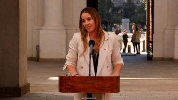 06042636 VOCERÍA DE GOBIERNO. 01