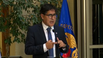 060426C08 DECLARACIONES DIPUTADO PINILLA 01 (1)