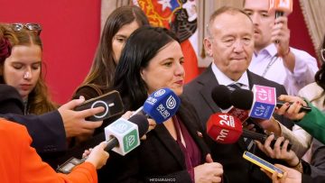 07042603 DECLARACIONES MINISTRA STEINERT 01 (1)