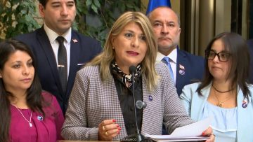 070426C05 DECLARACIONES DIPUTADA ZANDRA PARISI 01 (1)