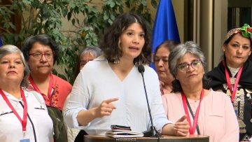 070426C13 DECLARACIONES DIPUTADA ÑANCO 01