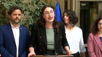 070426C15 DECLARACIONES DIPUTADAS FA 01 (1)