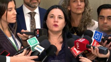 080426C02 DECLARACIONES MINISTRA STEINERT 01