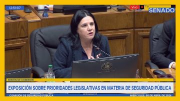 080426C05 MINISTRA STEINER 07