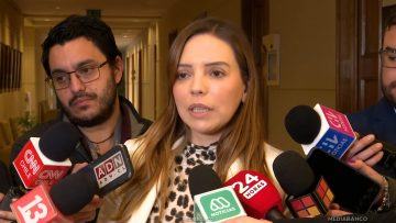 09042601 APOYO CAMILA FLORES 20 (1)