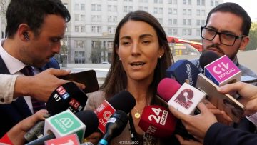 09042610 DECLARACIONES MINISTRA ARZOLA 01 (2)
