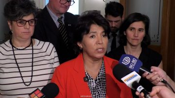 13042621 DECLARACIONES YASNA PROVOSTE 01