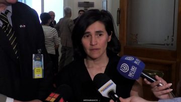 13042623 DECLARACIONES ESPECIALISTAS EN TEMA DE VIOLENCIA 01 (1)