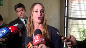 150426C08 DECLARACIONES MINISTRA SEDINI 01