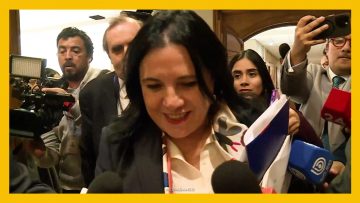 150426C09 LLEGADA MINISTRA STEINERT DEST