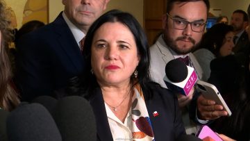 150426C18 DECLARACIONES MINISTRA STEINERT 01