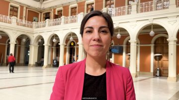 18042603 DECLARACIONES SUBSECRETARIA DE SALUD PÚBLICA 01