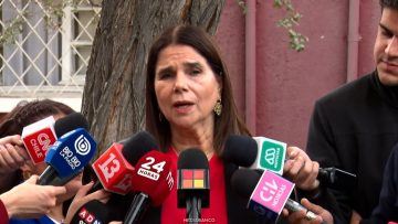 19042608 DECLARACIONES DIPUTADA XIMENA OSSANDÓN 01