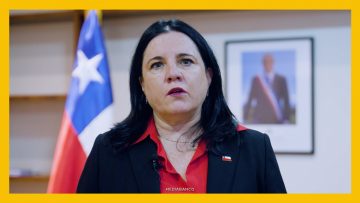 20042603 DECLARACIONES MINISTRA DE SEGURIDAD DES