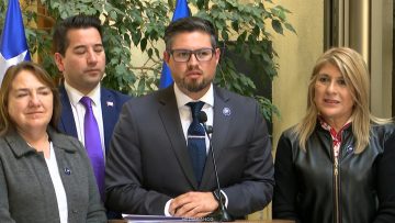 200426C04 DECLARACIONES DIPUTADOS PDG 01