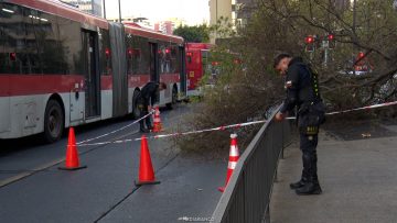 21042616 CAÍDA DE ÁRBOL EN AVENIDA PROVIDENCIA 01
