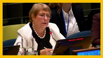 210426NY02 BACHELET EN NACIONES UNIDAS 24 (2)