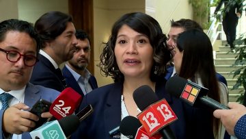 220426C19 DECLARACIONES DIPUTADA ÑANCO 01 (1)