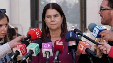 23042617 DECLARACIONES XIMENA OSSANDÓN 01