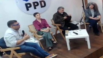 25042624 APOYO NUEVO PANEL SEMINARIO PPD 01