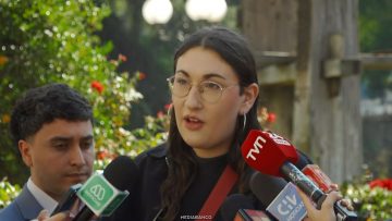 DECLARACIONES DIPUTADA SCHNEIDER 01