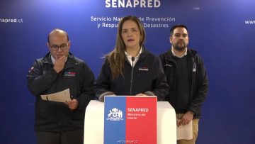 30072626 REPORTE SENAPRED 20
