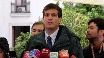 31072610 DECLARACIONES DIPUTADO DIEGO SCHALPER 05