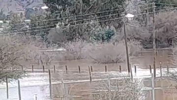 02082610 APOYO INUNDACIONES EN MARCHIGÜE 01