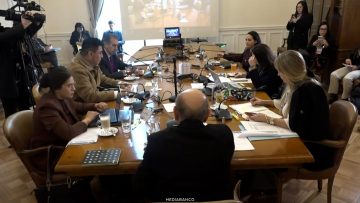 03082619 APOYOS COMISIÓN DE SALUD DEL SENADO01