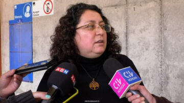 17082624 DECLARACIONES FISCAL MARÍA CECILIA PINO 01 (1)