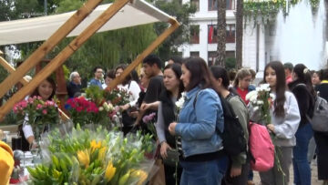 26092606 APOYO FESTIVAL EN PLAZA ÑUÑOA 18