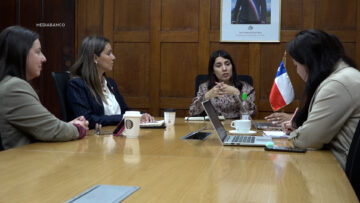 13102621 APOYOS MISITRA DE LA MUJER CORDINADORA DE LA ARAUCANIA 01